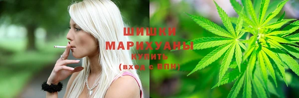 ПСИЛОЦИБИНОВЫЕ ГРИБЫ Краснотурьинск