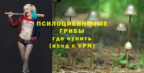 MDMA Premium VHQ Краснослободск