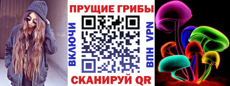 Галлюциногенные грибы Magic Shrooms  Купить где  Белокуриха 