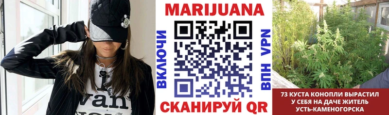 Купить  Белокуриха  Каннабис AK-47 